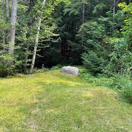 Cozy Log Cabin - Dog Friendly Halifax Exterior photo