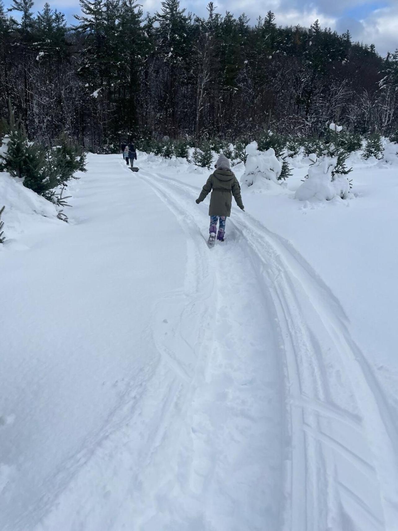 Cozy Log - Dog Friendly Hébergement de vacances Halifax