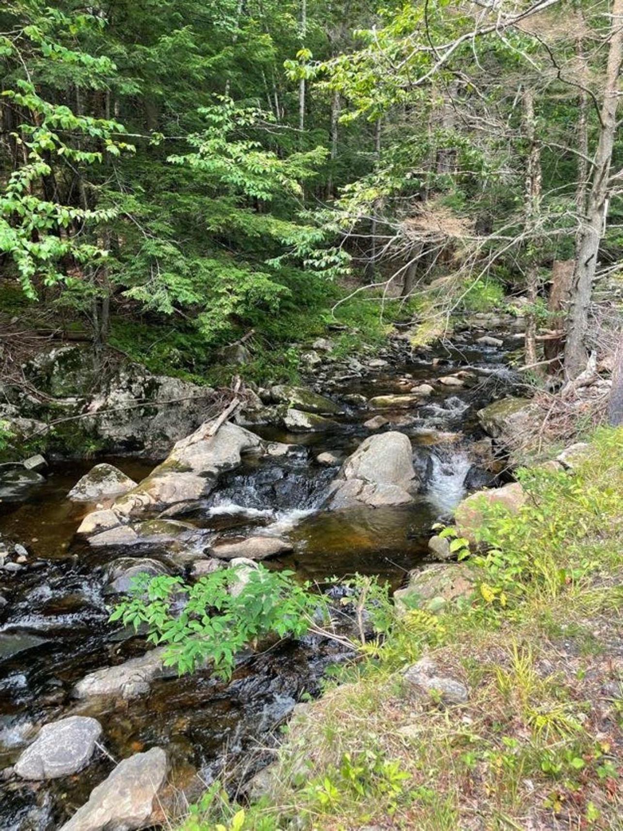 Hébergement de vacances Cozy Log - Dog Friendly Halifax