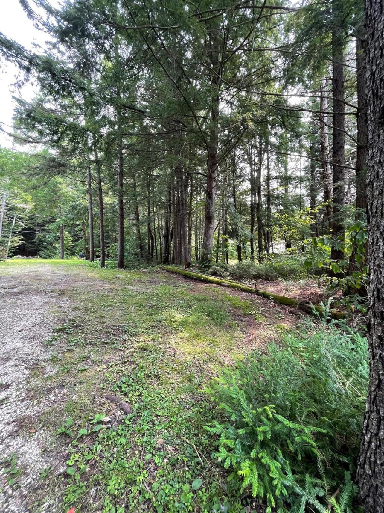 Cozy Log - Dog Friendly Hébergement de vacances Halifax
